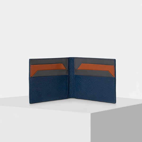 Mens designer wallets- BLUE MULTI